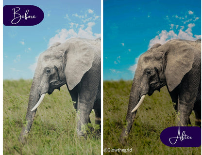 Light Outdoor Lightroom Presets | Bright Travel & Nature Edit Pack - glowthegrid