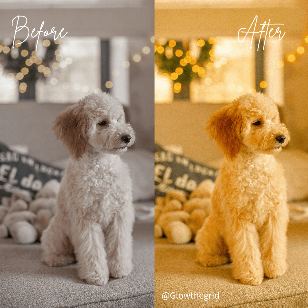 Moody Drift – 30 Presets - glowthegrid