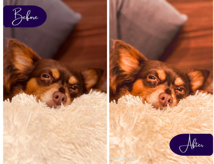 Sweet Home Lightroom Presets | Cozy Indoor & Home Photography Edits | 11 Lightroom Presets - glowthegrid