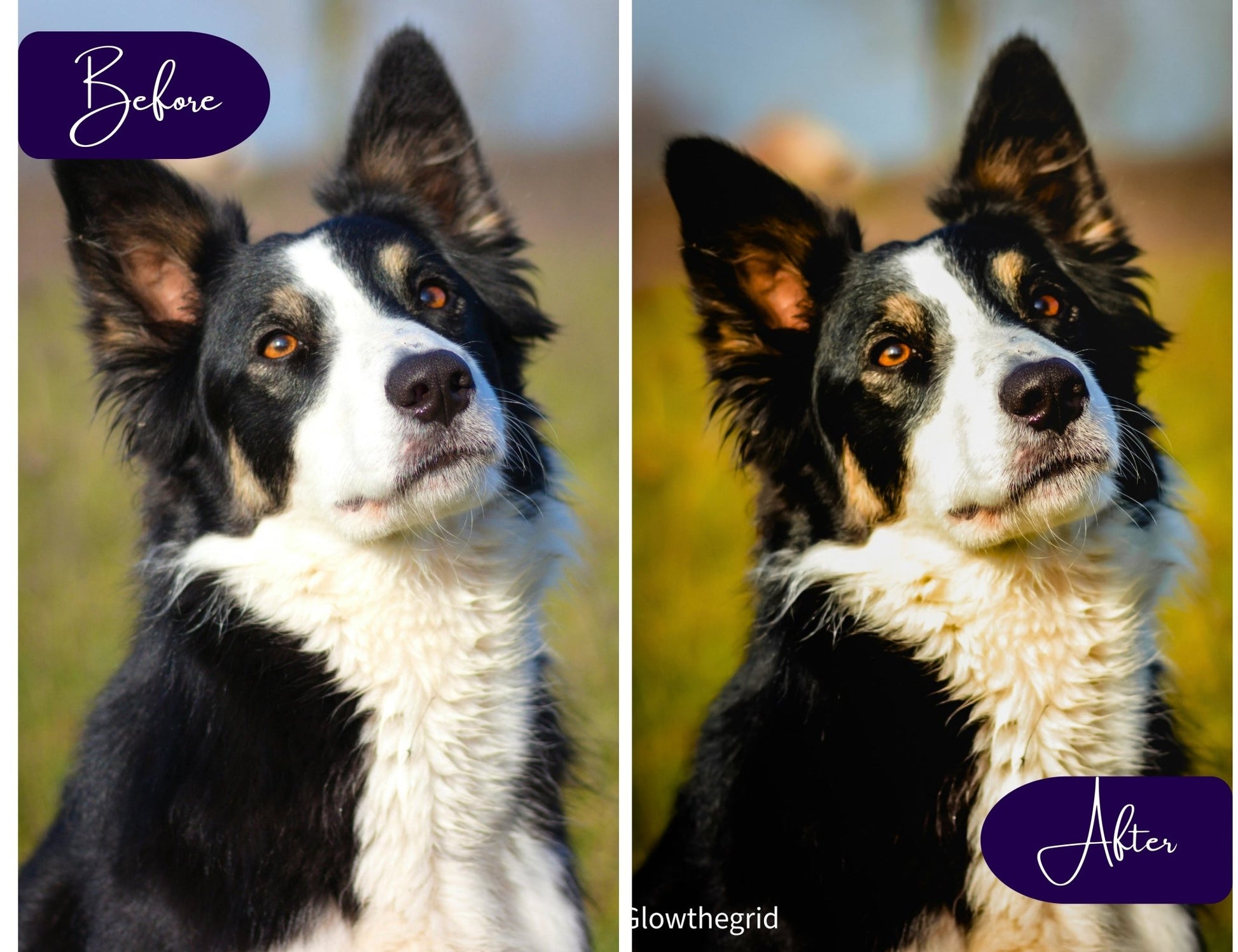 Vintage Lightroom Presets | Retro Film & Old - School Photo Edits | 14 Lightroom Presets - glowthegrid