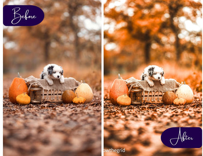 Warm & Airy Lightroom Presets | Bright Soft Glow Photo Edits | 10 Lightroom Presets - glowthegrid